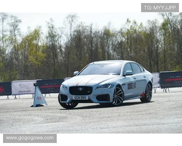 F1赛季新挑战：车队动态变化与车手争夺激烈上演